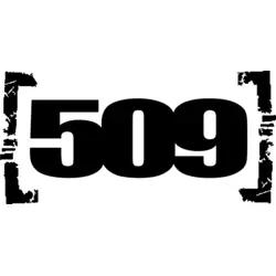 509 Logo PNG Vector logo