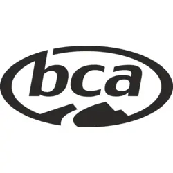 BCA Logo Vector SVG and Transparent PNG logo