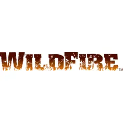Benjamin WildFire Logo PNG Vector logo