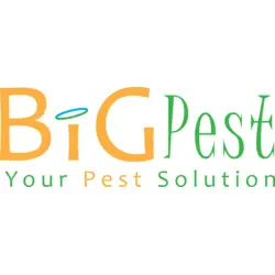 BIG PEST Logo Vector SVG and Transparent PNG logo