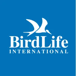 BirdLife International Logo Vector SVG and Transparent PNG logo