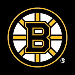 Boston Bruins 2007-2023 Logo Vector SVG and Transparent PNG logo