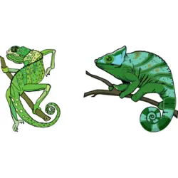 Chameleon Logo PNG Vector logo