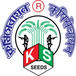 Krishi Sebayan & Co Logo PNG Vector logo