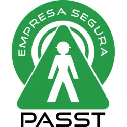 Passt Logo PNG Vector logo