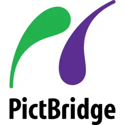 Pict bridge Logo Vector SVG and Transparent PNG logo