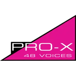Pro-X Logo Vector SVG and Transparent PNG logo