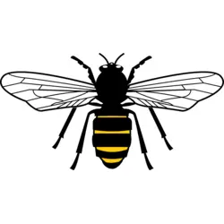 Progressive Party Logo Vector SVG and Transparent PNG logo