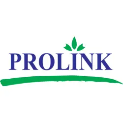 Prolink Development Logo Vector SVG and Transparent PNG logo