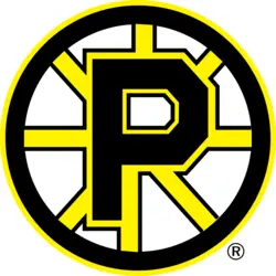 Providence Bruins Logo PNG Vector logo