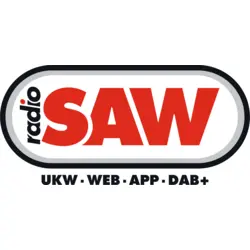 Radio SAW Logo Vector SVG and Transparent PNG logo