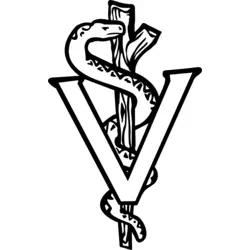 SNAKE Logo PNG Vector logo