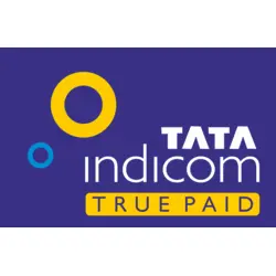 Tata Indicom Logo PNG Vector logo