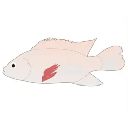 tilapia fish Logo PNG Vector logo