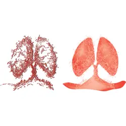 tree lever Logo Vector SVG and Transparent PNG logo