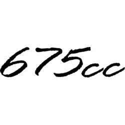 Triumph 675 cc Logo PNG Vector logo