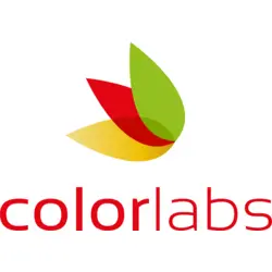 Abstract Colorful Leaves Logo PNG Vector logo