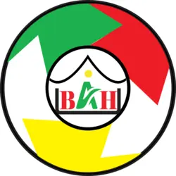 bah technical Logo PNG Vector logo