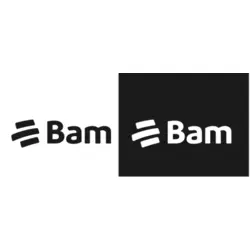 BAM nuevo Logo PNG Vector logo