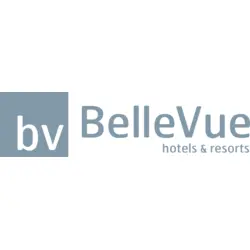 Bellevue Logo PNG Vector logo