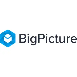 BigPicture Logo PNG Vector logo