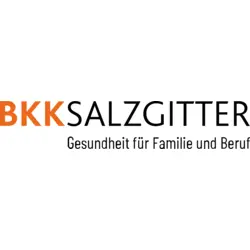 BKK Salzgitter Logo PNG Vector logo