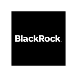 BlackRock Logo PNG Vector logo