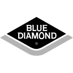 Blue Diamond Logo PNG Vector logo