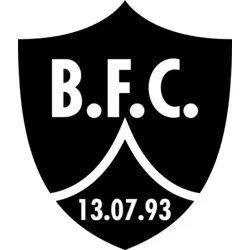 Botafogo Futebol Clube Logo PNG Vector logo