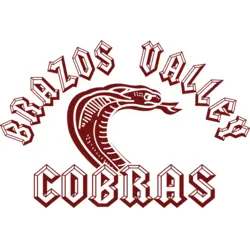 Brazos Valley Cobras Logo PNG Vector logo