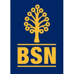 BSN Logo PNG Vector logo