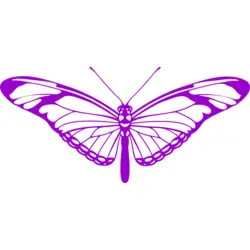 Butterfly Logo PNG Vector logo