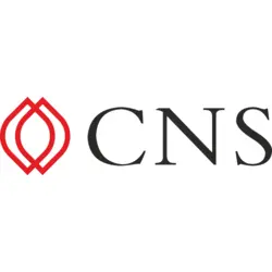 CNS Vietnam Logo PNG Vector logo