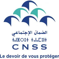 CNSS Logo PNG Vector logo