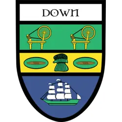 County Down Crest Logo PNG Vector logo