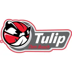 EBBC Tulip Den Bosch Logo PNG Vector logo