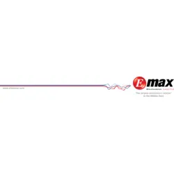 emax Logo PNG Vector logo