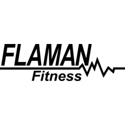 flaman fitness Logo PNG Vector logo