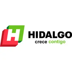 Gobierno de Hidalgo H Omar Fayad Logo PNG Vector logo