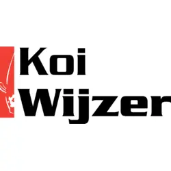 Koi Wijzer Logo PNG Vector logo