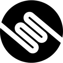 Laser Magnetic Storage International Logo PNG Vector logo
