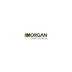 Morgan Logo PNG Vector logo