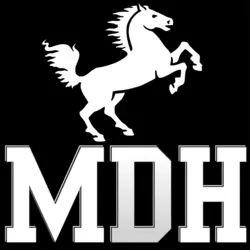 Musical Dark Horse Logo PNG Vector logo