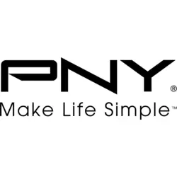 Pny Technologies Logo PNG Vector logo