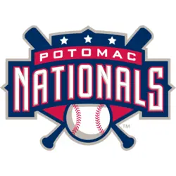 POTOMAC NATIONALS Logo PNG Vector logo