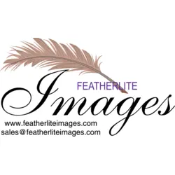 PROMOTIONAL PRINT Logo PNG Vector logo