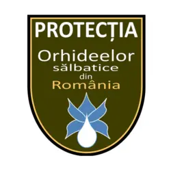 Protection of Romanian Wild Orchids Logo PNG Vector logo
