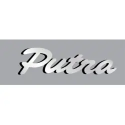 Proton Putra Logo PNG Vector logo