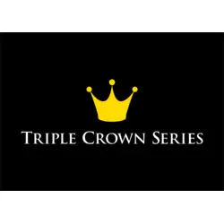 Snooker Triple Crown Logo PNG Vector logo