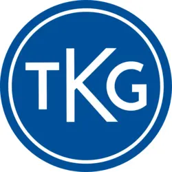 The Kirschner Group, Inc. (TKG) Logo PNG Vector logo